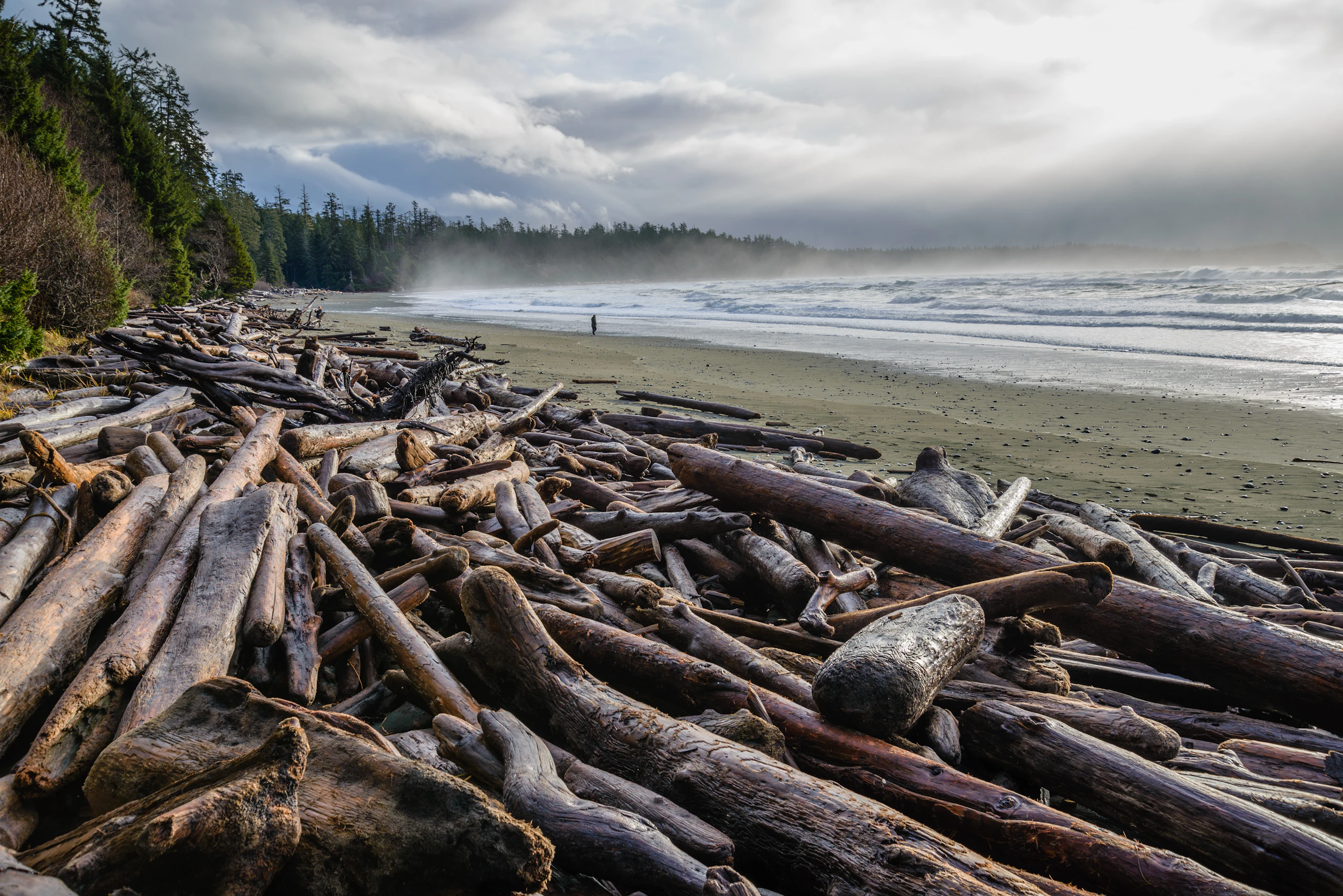 Weathered driftwood logs piled along the shore after a storm