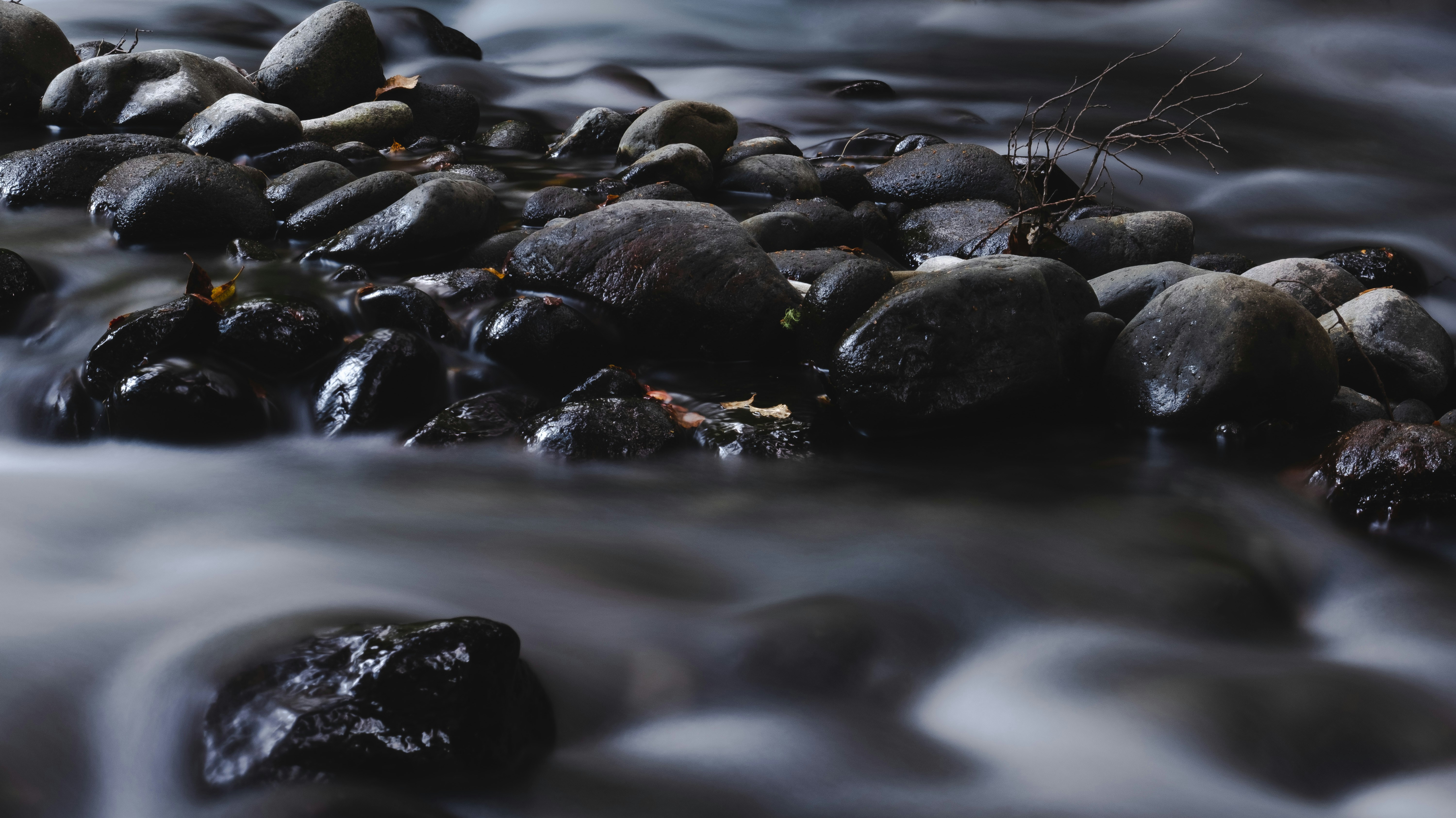 Wet stones and sticks being washed by dark water.