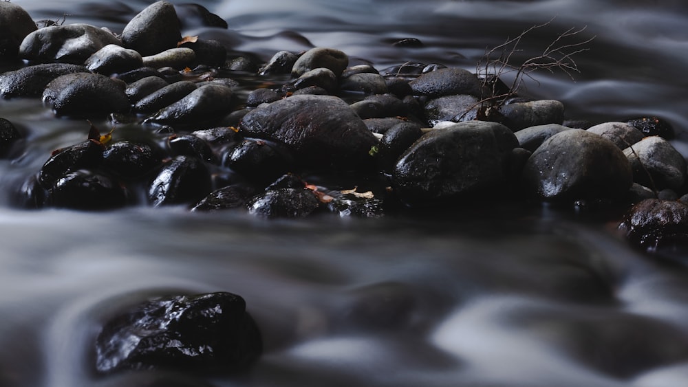Flachfokusfotografie von Kieselsteinen auf dem Wasser