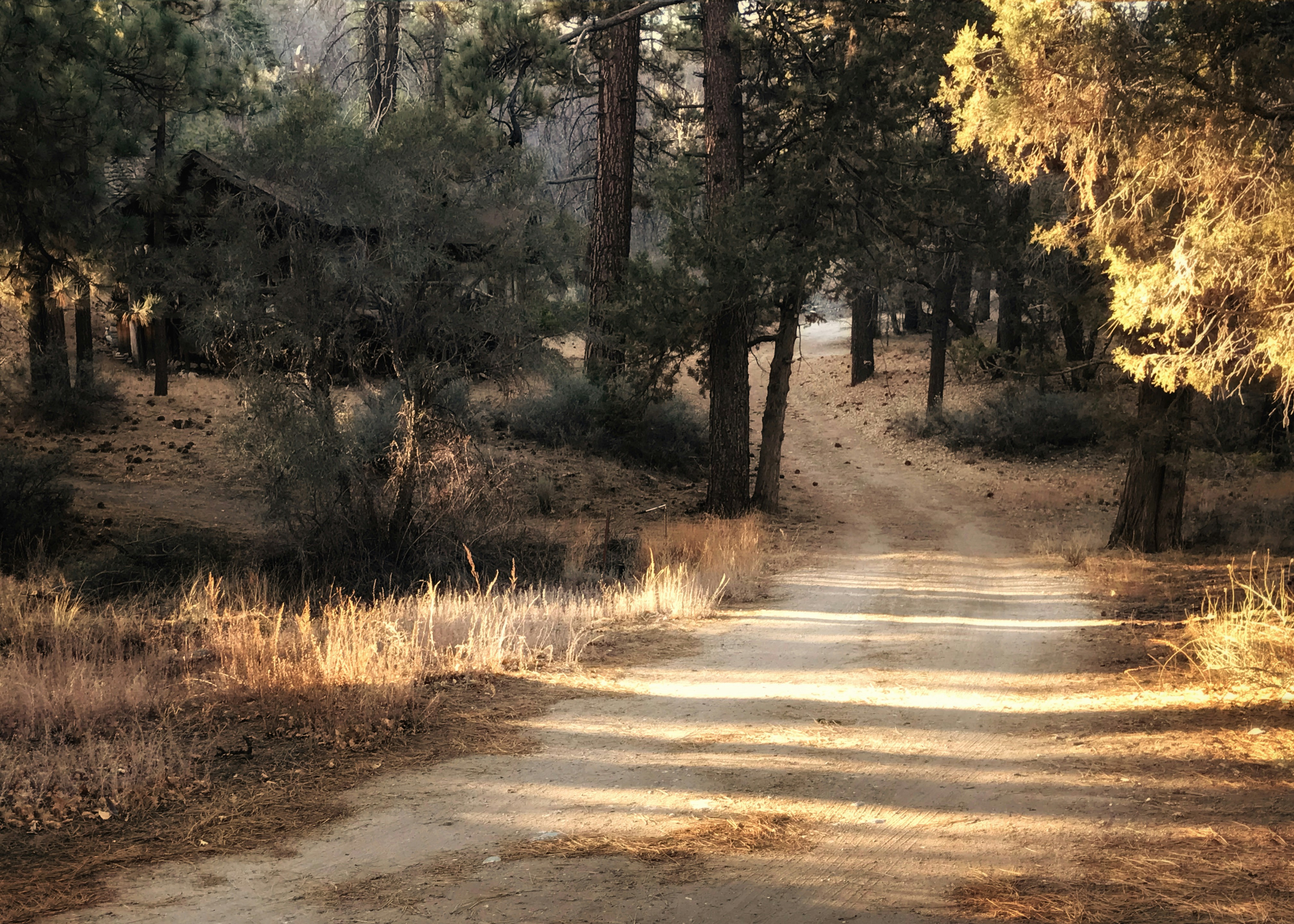 Photo by kb_photoart