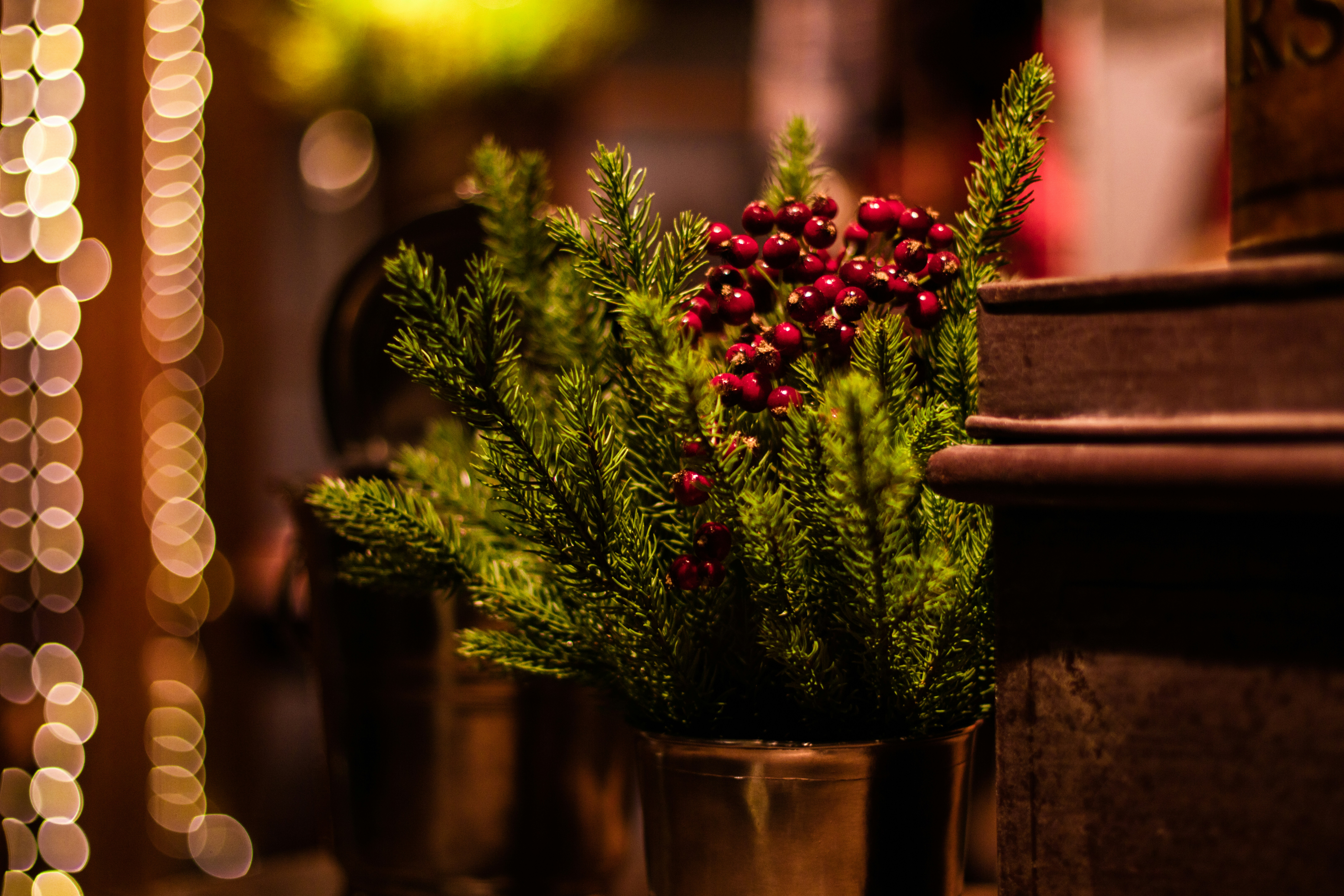 Selektive Fokusfotografie von Mistelzweigen