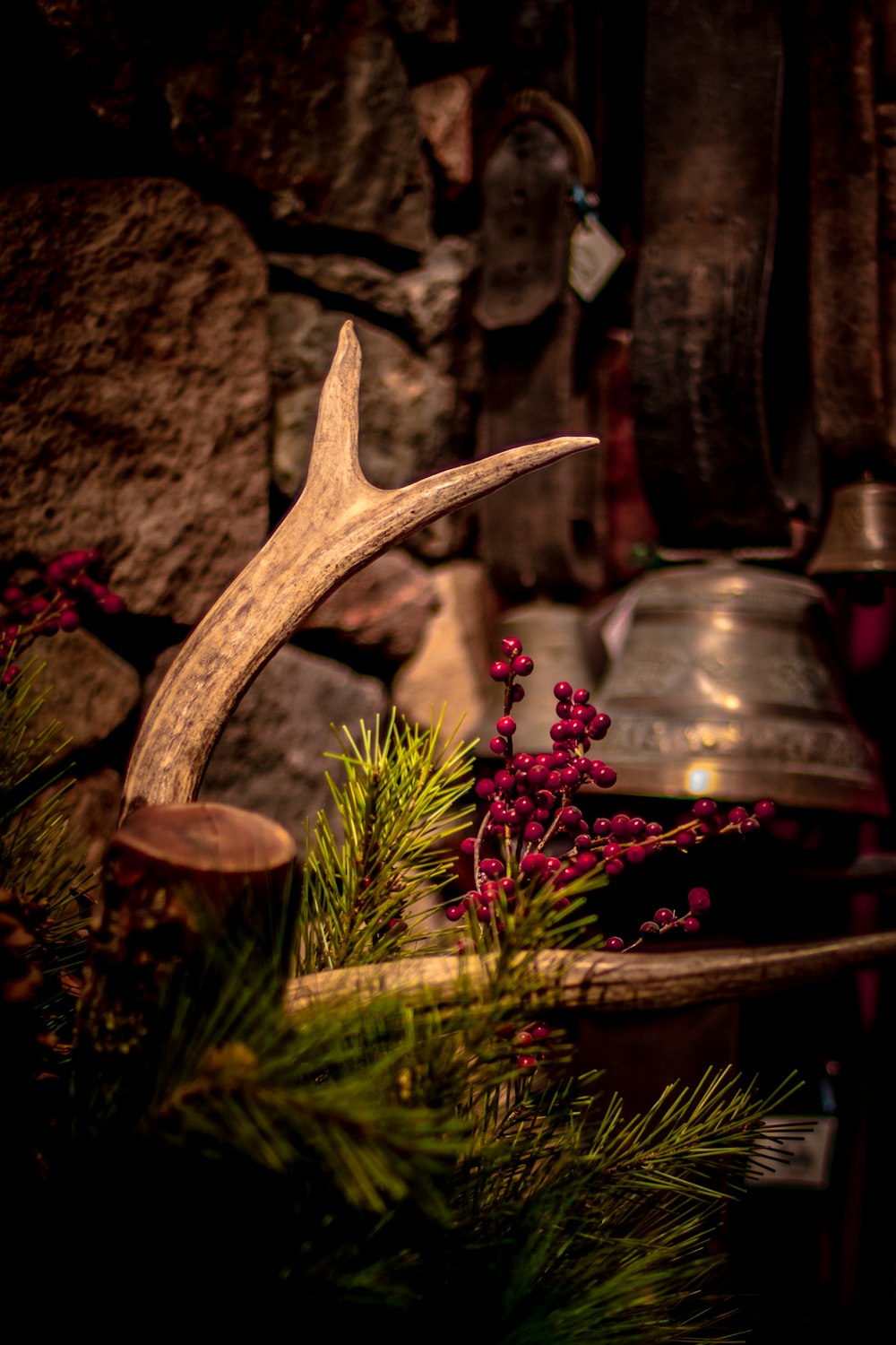 a close up of a deer's antlers on a table