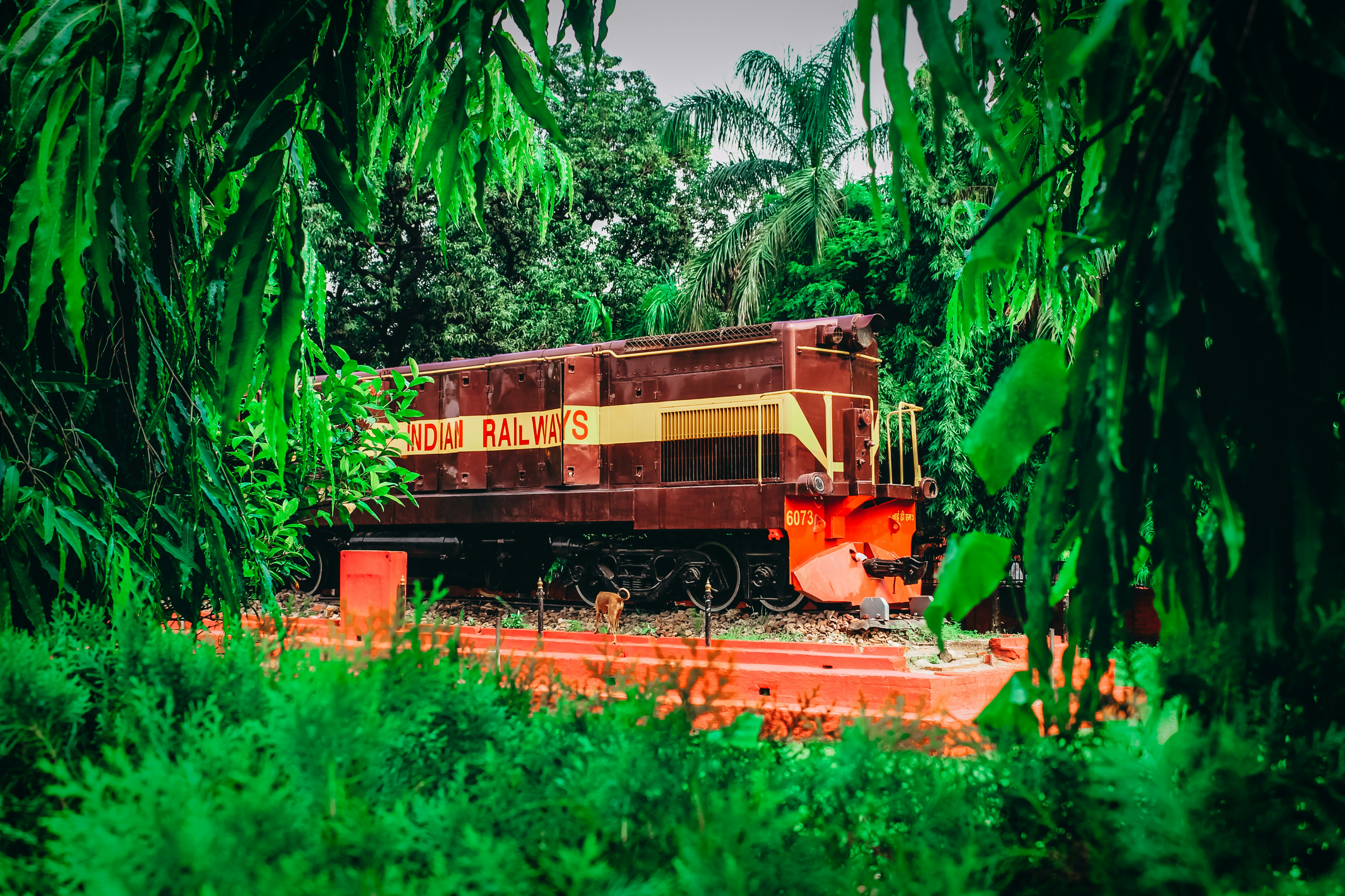 एक शक्तिशाली लोकोमोटिव द्वारा खींची जा रही 87 वैगनों वाली एक बहुत लंबी मालगाड़ी, जो हरे-भरे भारतीय ग्रामीण इलाकों से गुजर रही है। ट्रेन क्षितिज तक फैली हुई दिखाई दे रही है।