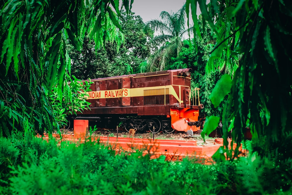 photography of orange train during daytime
