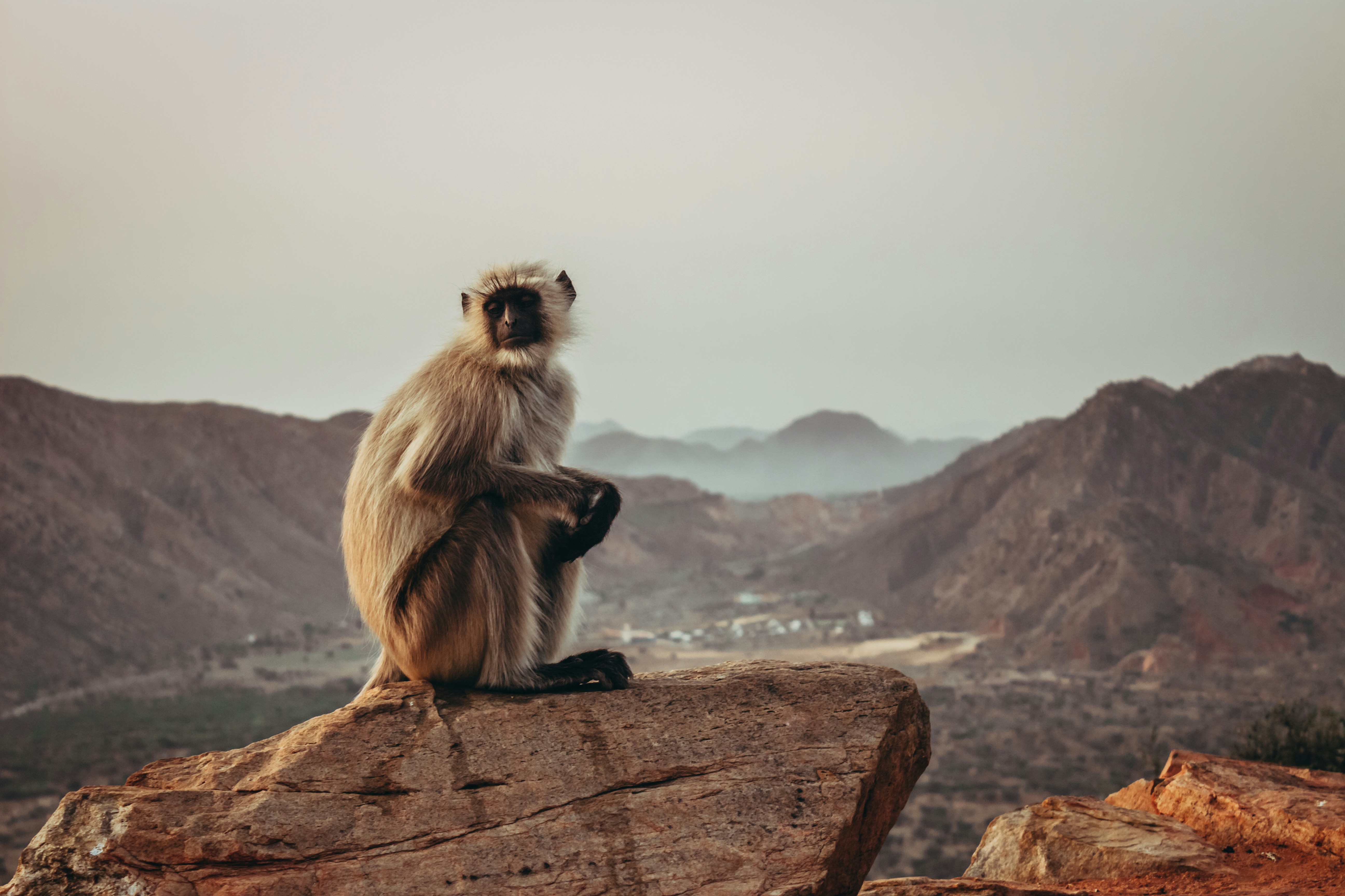 Photo by tiagorosado