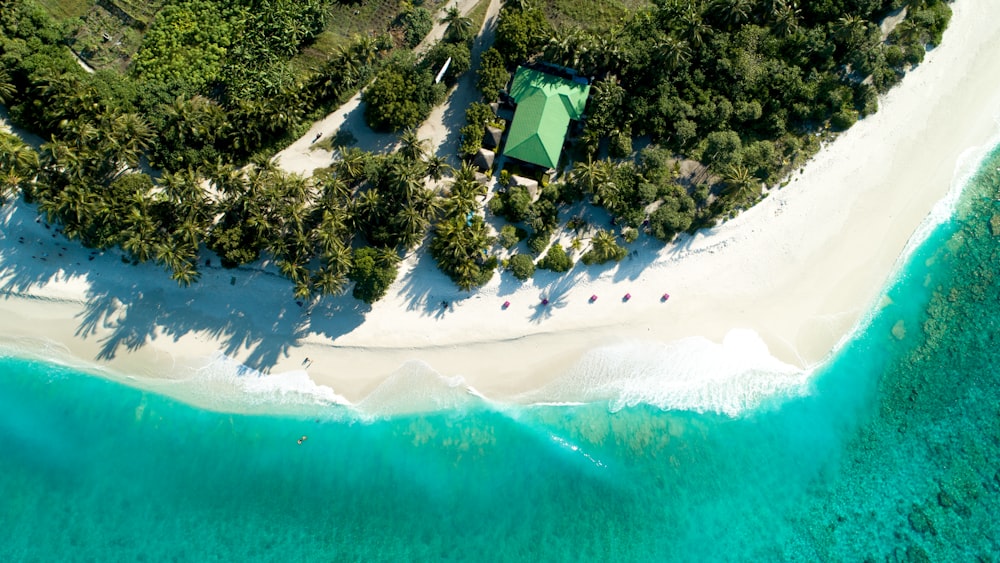 aerial photo of island during daytime