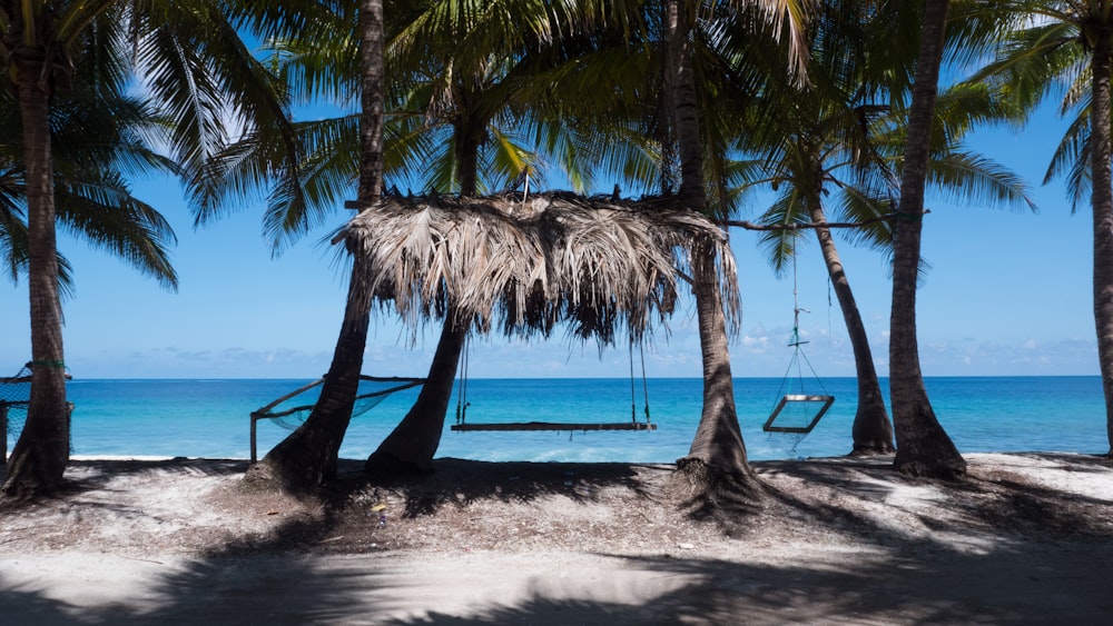 selective focus photography of hammock between coconut trees during daytime