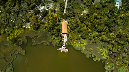 An aerial view of a lush, green tropical landscape featuring a large body of water and dense forest surrounding a central structure with a red roof. A narrow dock extends from the building into the water with a few small boats moored at the end. The lush vegetation appears vibrant, with various shades of green, and the water has a deep greenish hue.