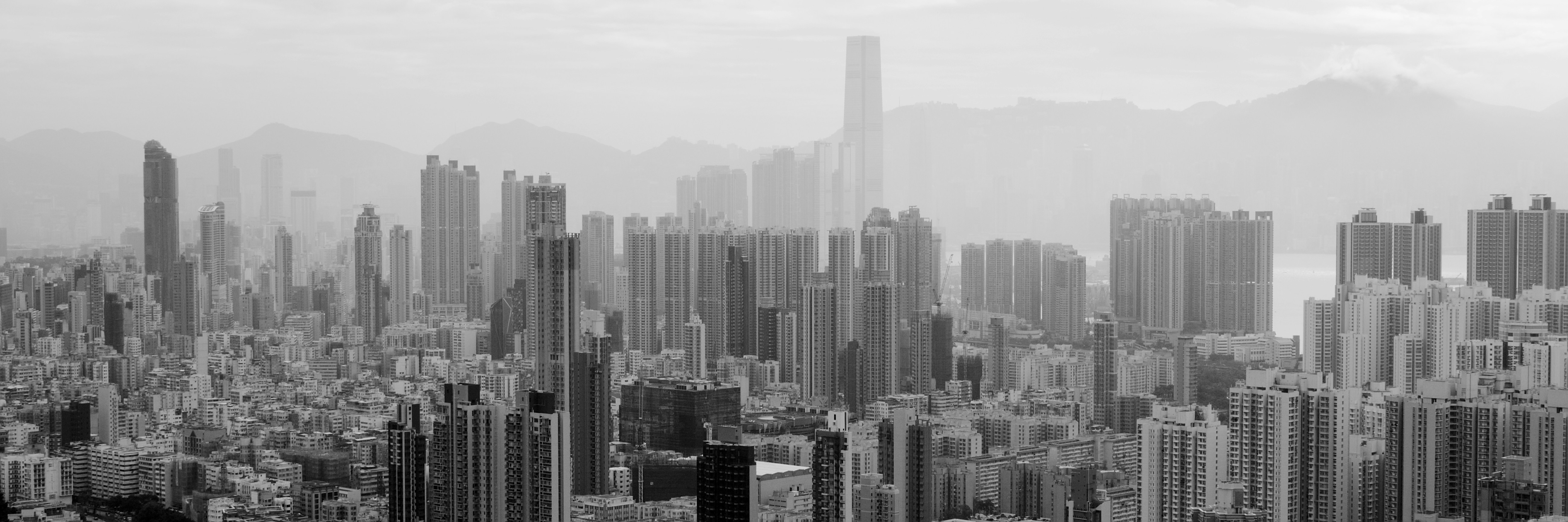 Photo by chromatograph