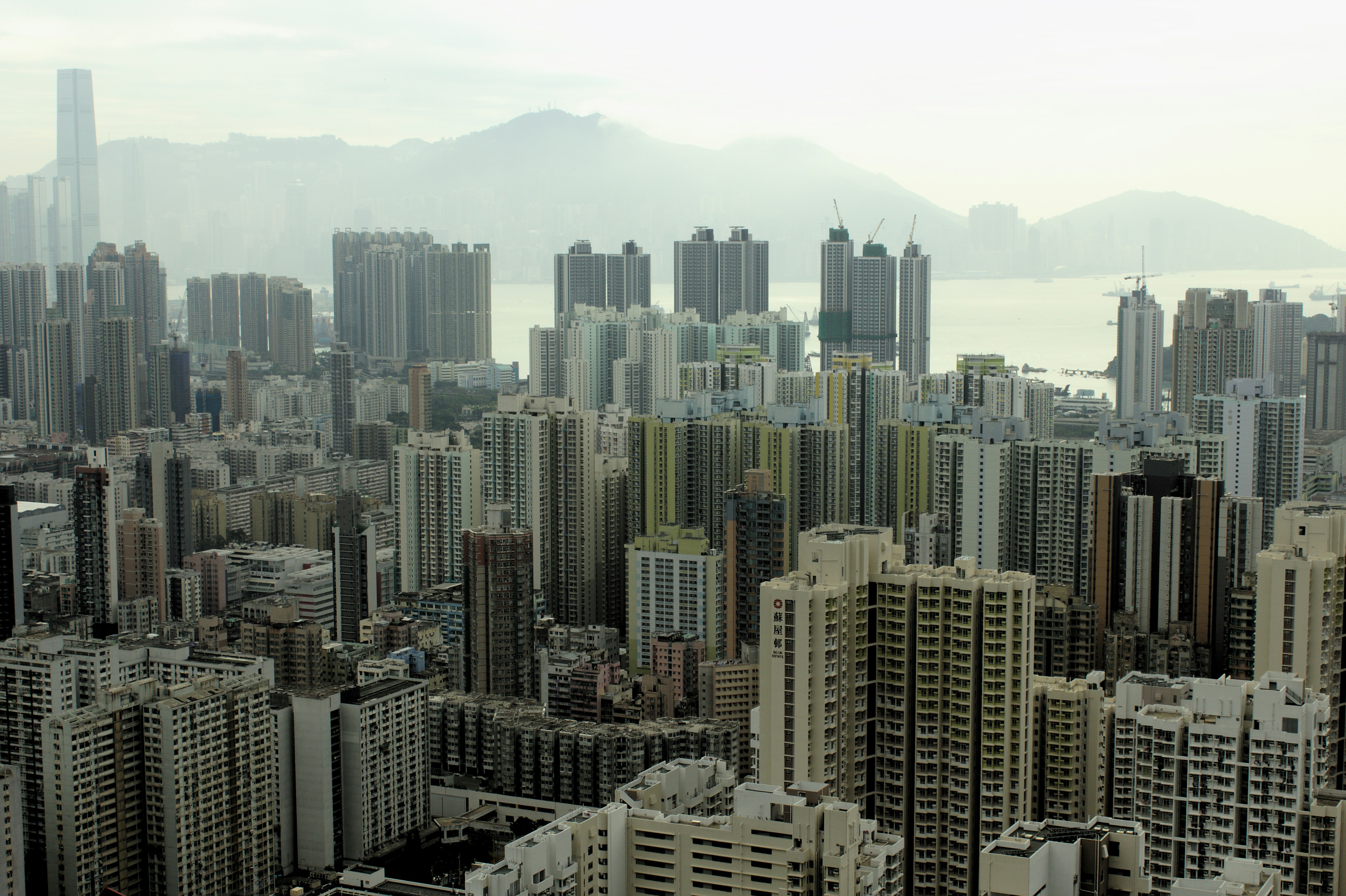 Photo by chromatograph