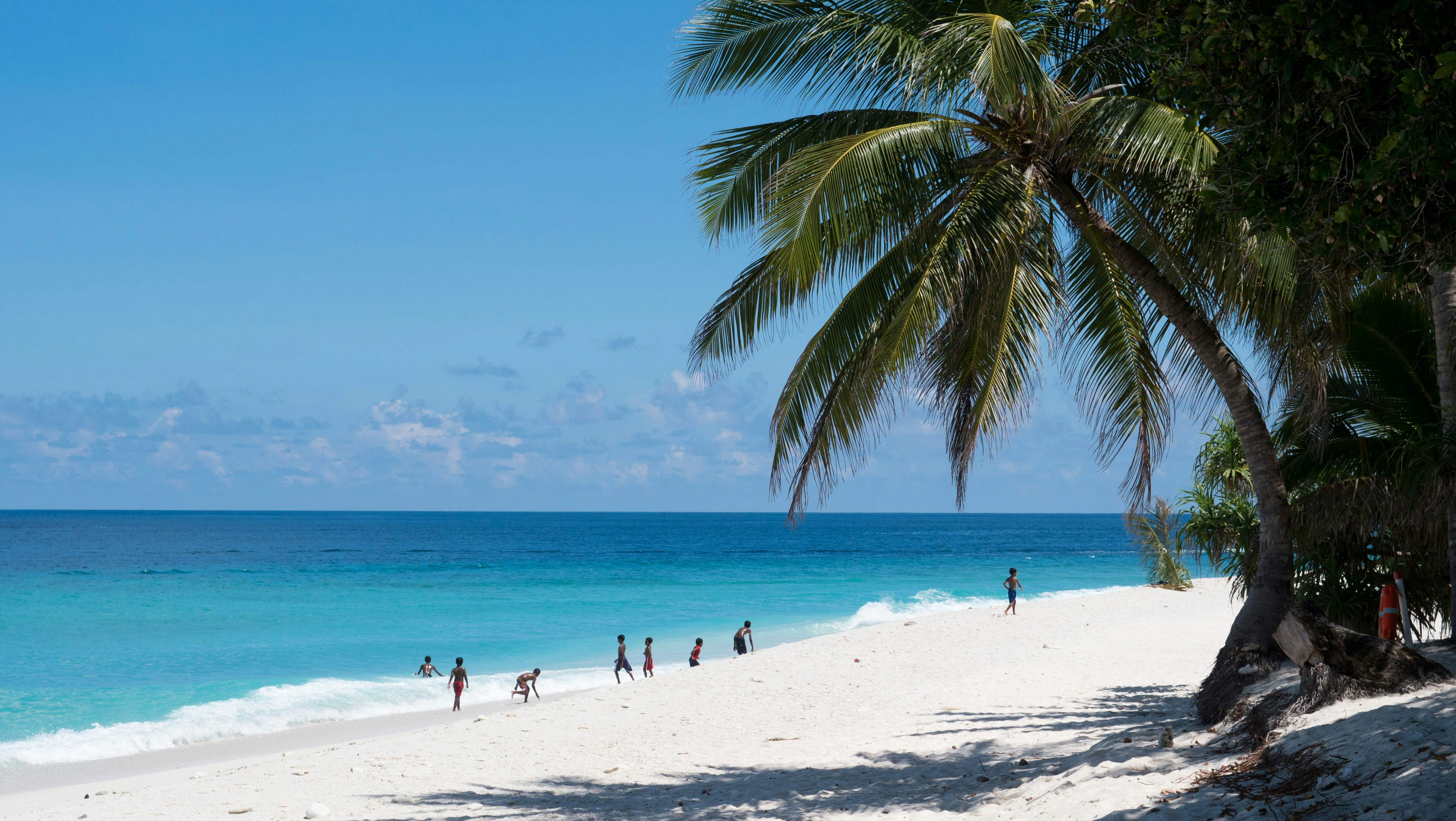 people walking on shore during daytime