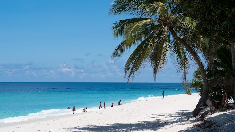 people walking on shore during daytime