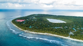 An aerial view of Sook Island highlighting its lush greenery and coastline.