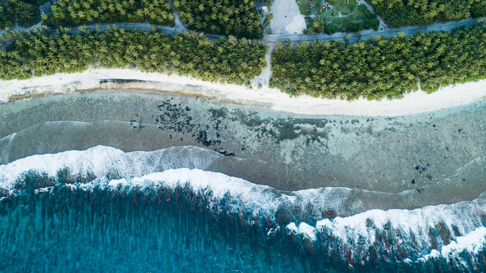 aerial view of ocean