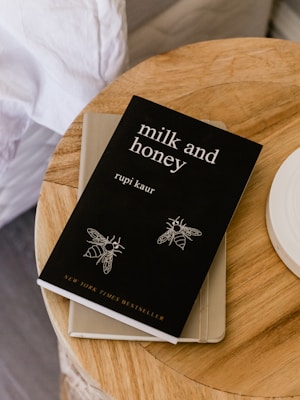 พ.ร.บ. สภาความมั่นคงแห่งชาติ พ.ศ. 2559 ฉบับวิเคราะห์