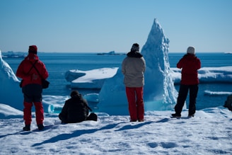 four people on ice near icebergs during daytime