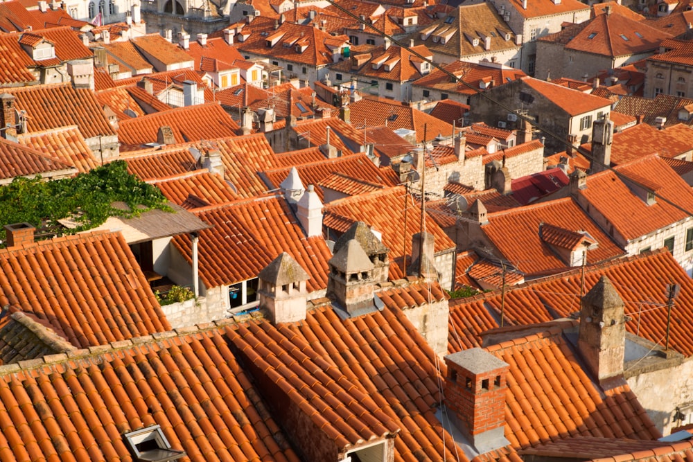 brown roofed houses