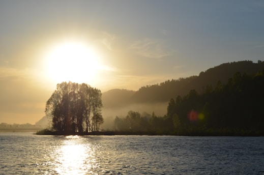 A serene sunset over a misty forest, evoking calm and reflection.