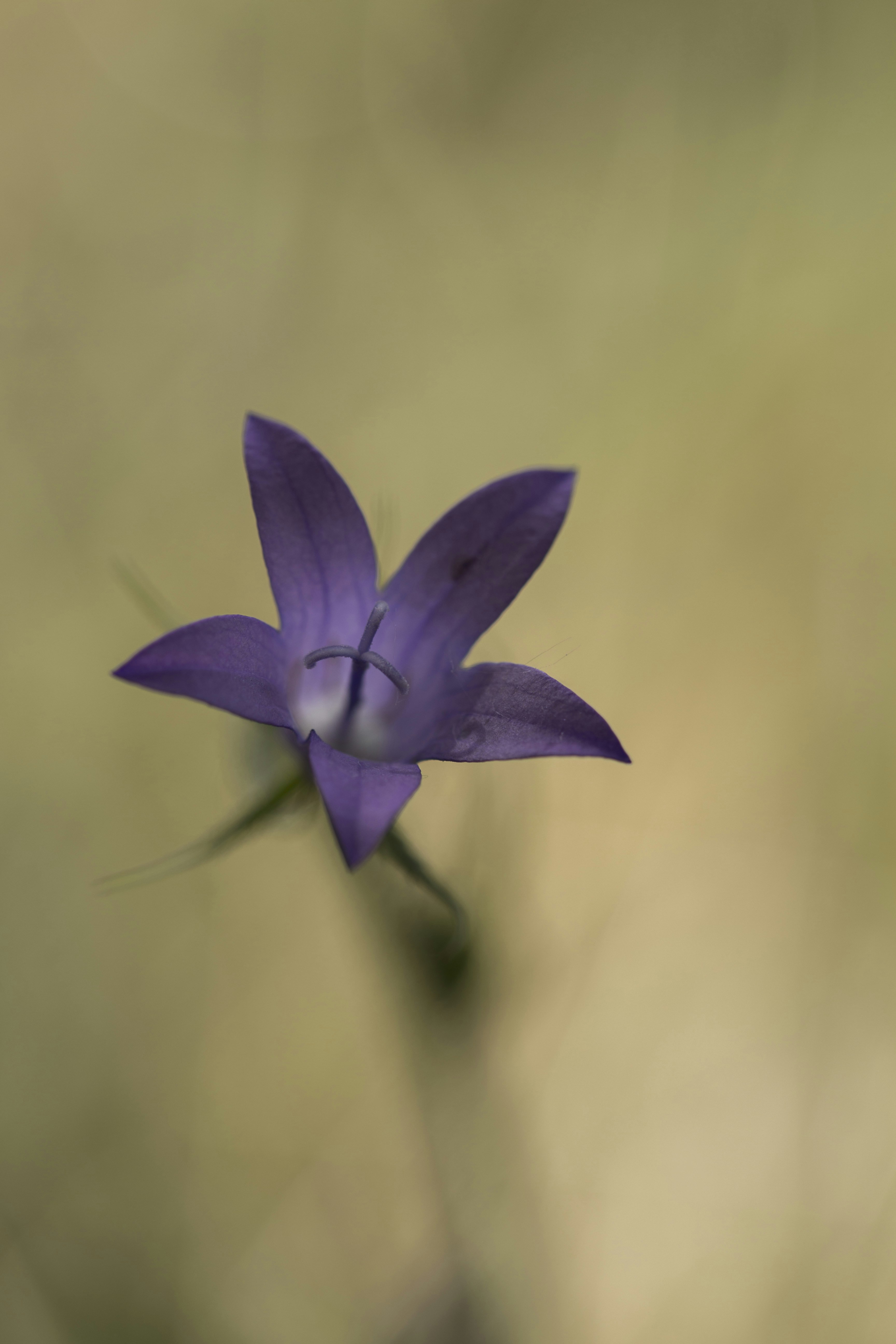 Photo by morteza_bach