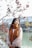 selective focus photography of standing woman beside body of water during daytime