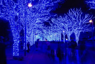 low angle photography of tree with blue string lights