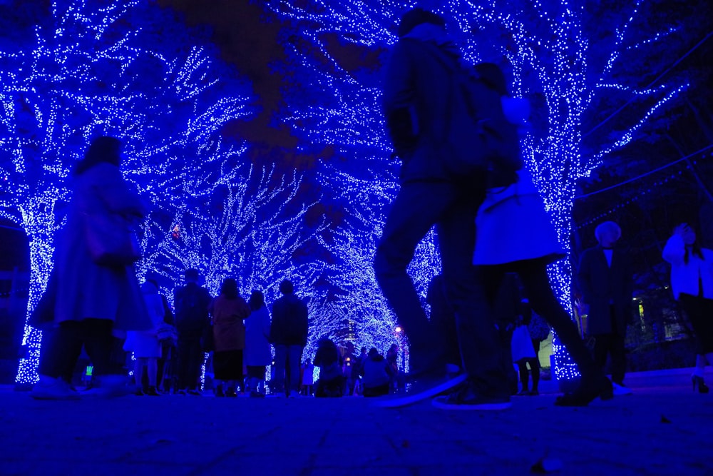 people walking on street