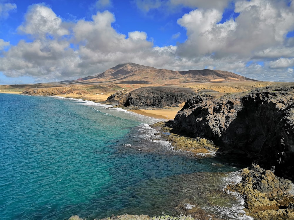 aerial view photography of seacliff