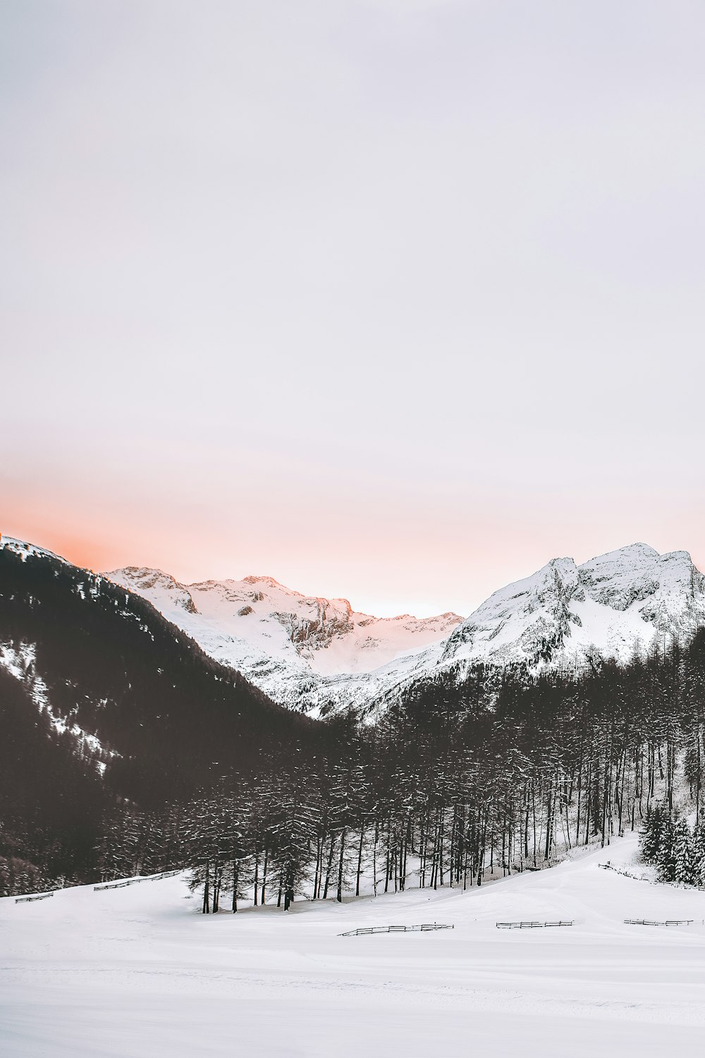 snow covered mountains