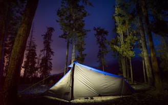 A cozy float tent suspended between trees in a misty forest at dawn.