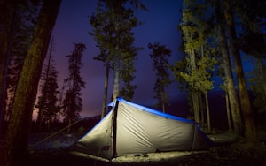 Tenda Glamping Kayu