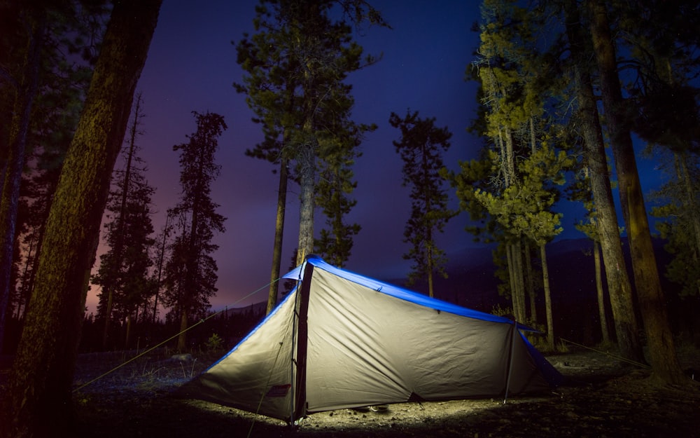 gray and blue tent surrounded by trees during night