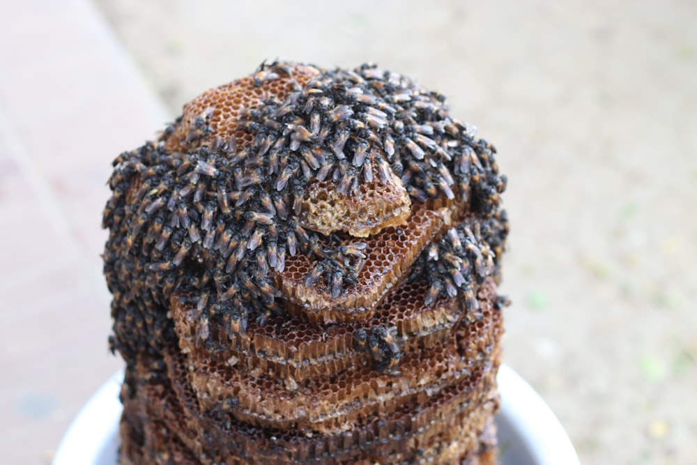 bee swarming on beehive in white pot