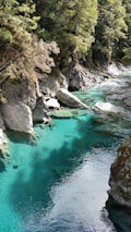 Stunning views of the crystal-clear waters and vibrant wildlife along the river.