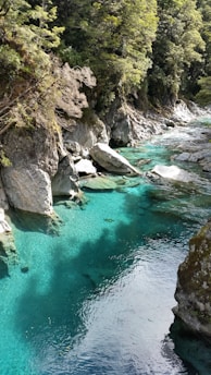 Stunning views of the crystal-clear waters and vibrant wildlife along the river.