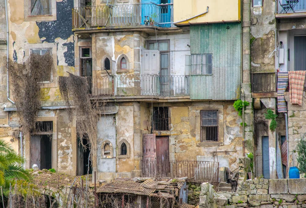 edifício marrom e verde durante o dia\