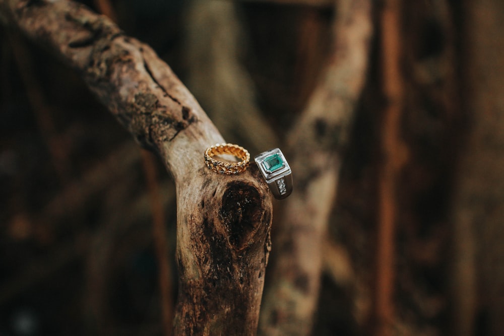 selective focus photography of gold ring and green gemstone silver ring