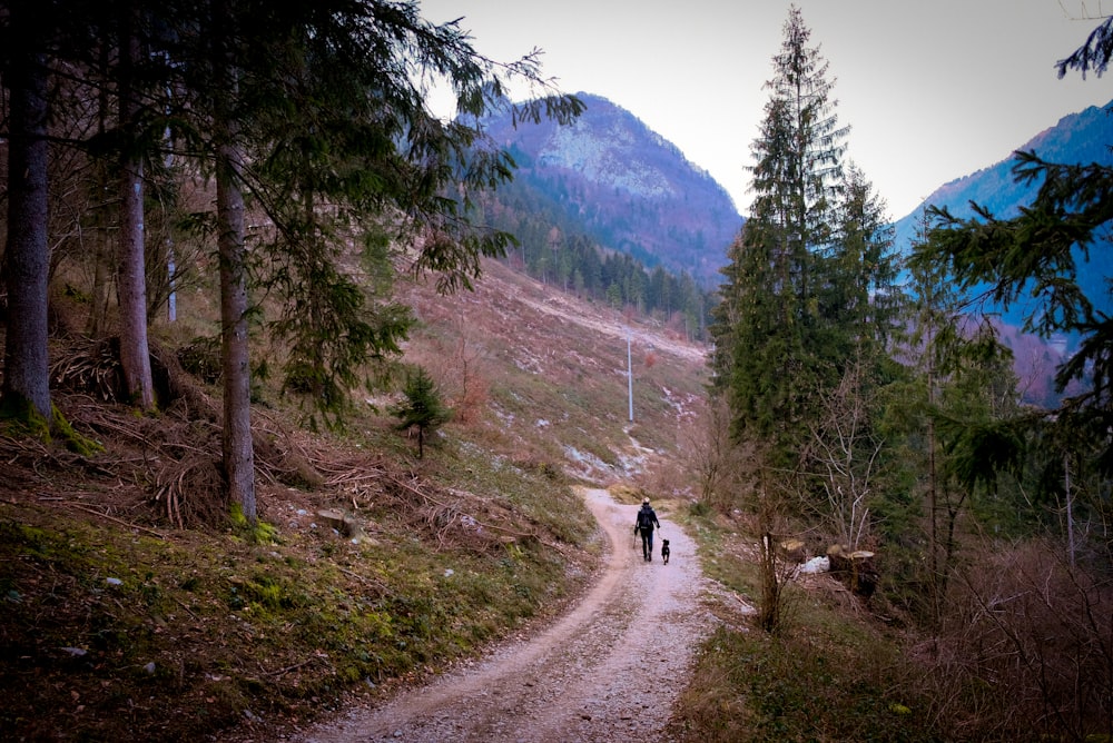 man walking on pathway near mountain range