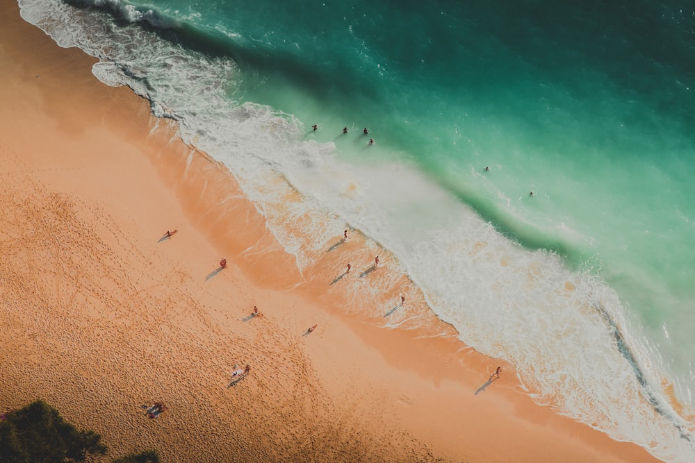 fotografia aérea de pessoas na praia