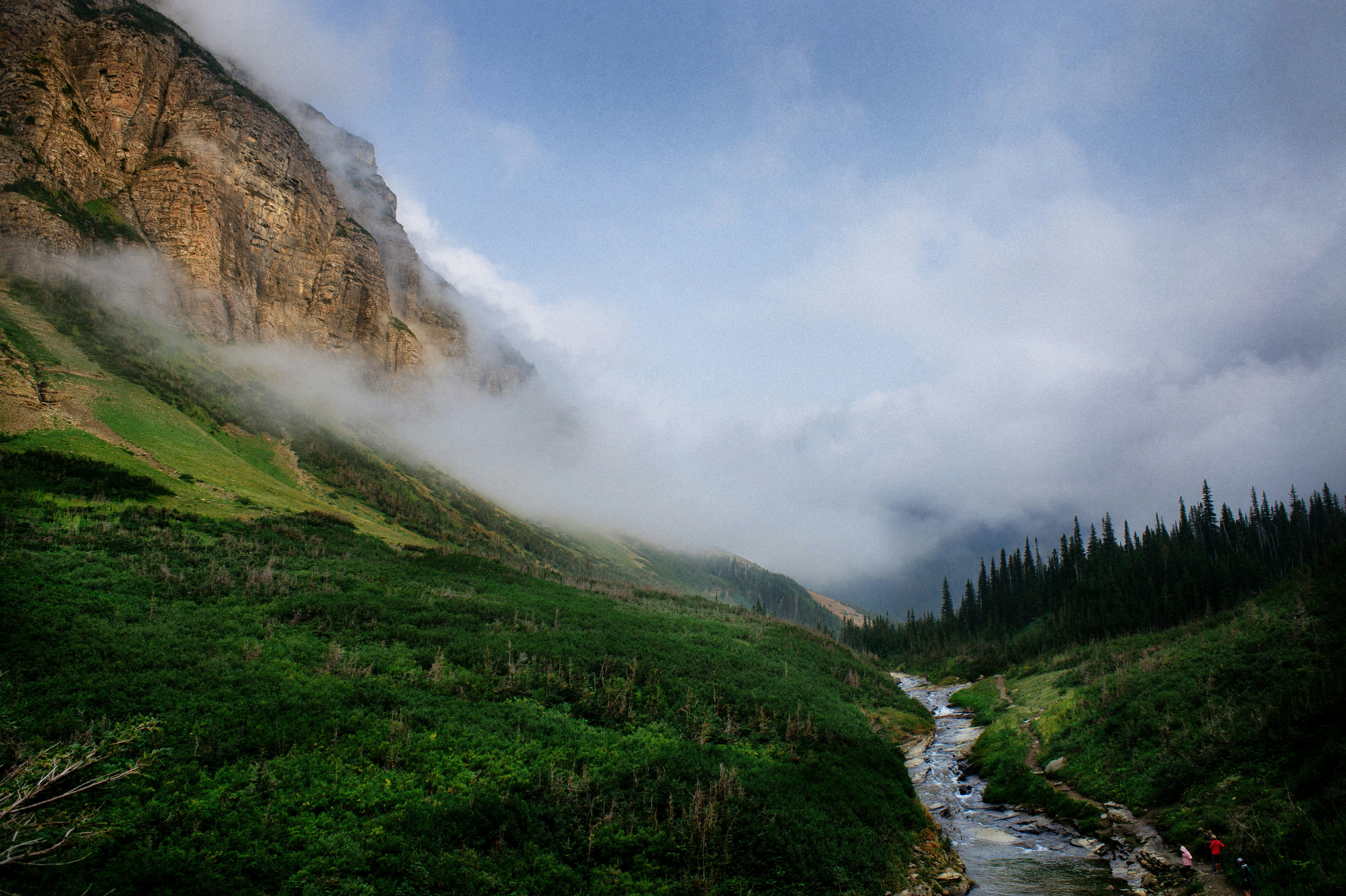 view of hill with fogs