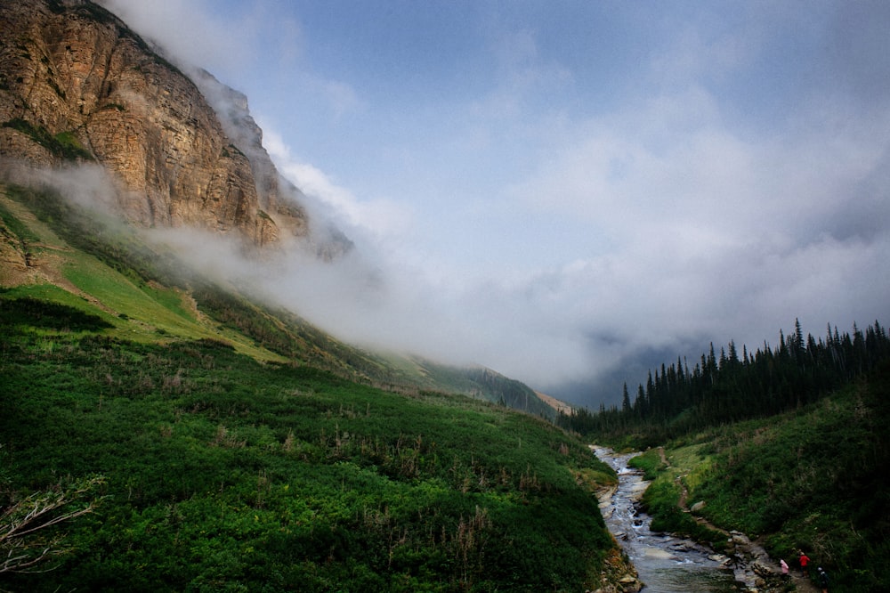 view of hill with fogs