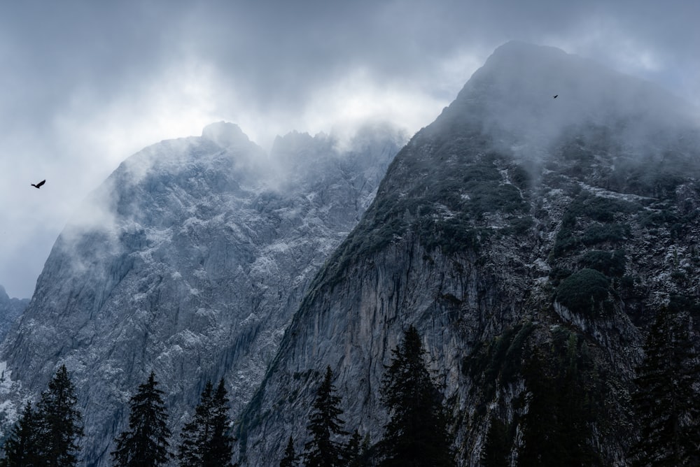 foggy snow covered mountain peak