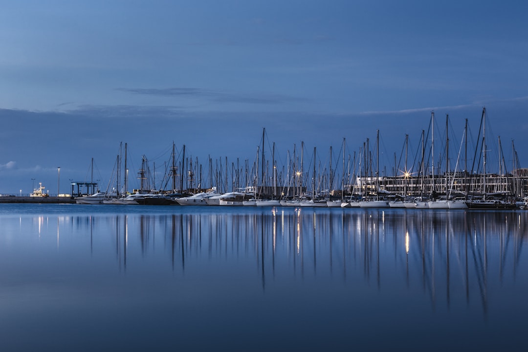 white and black boats on sea during daytime