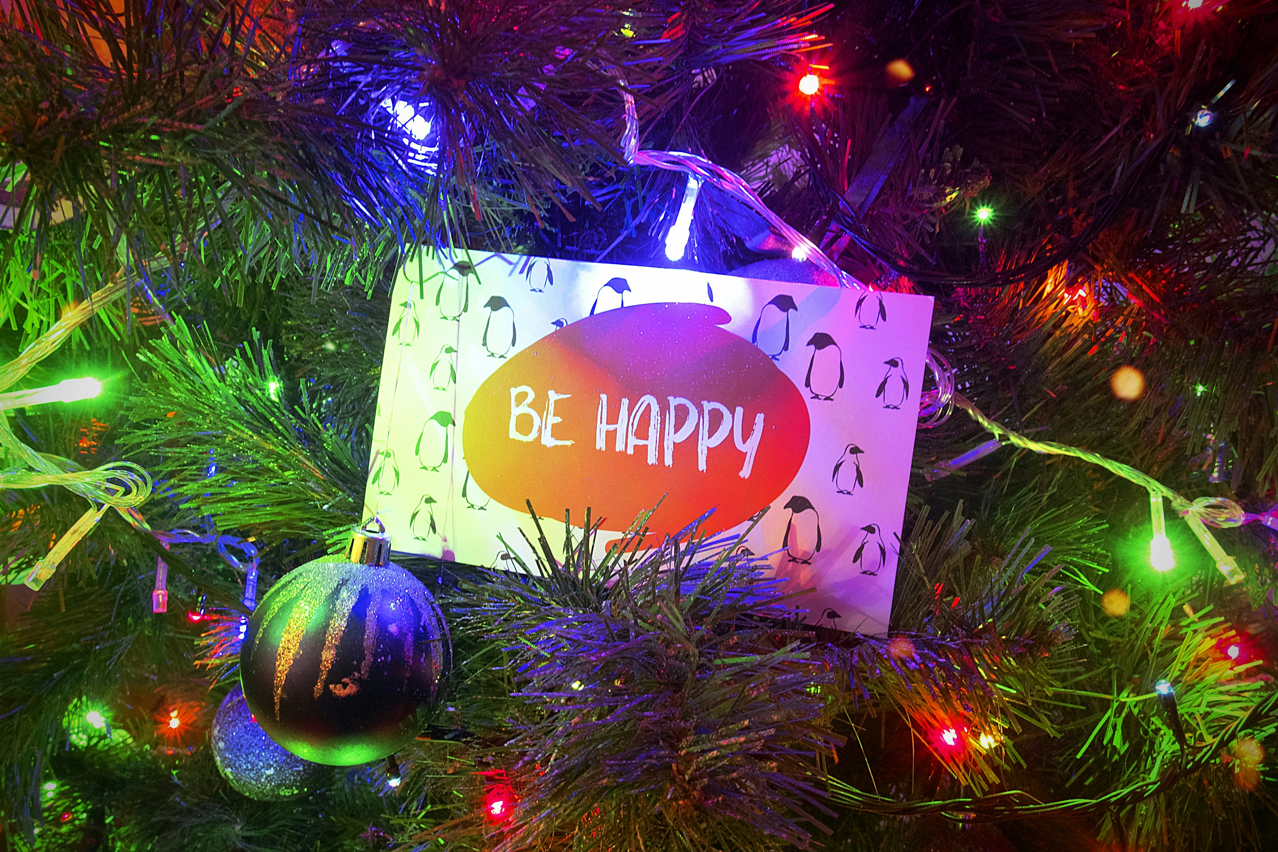 The Ecological Genius of Wetlands: Earth's Kidneys at Work