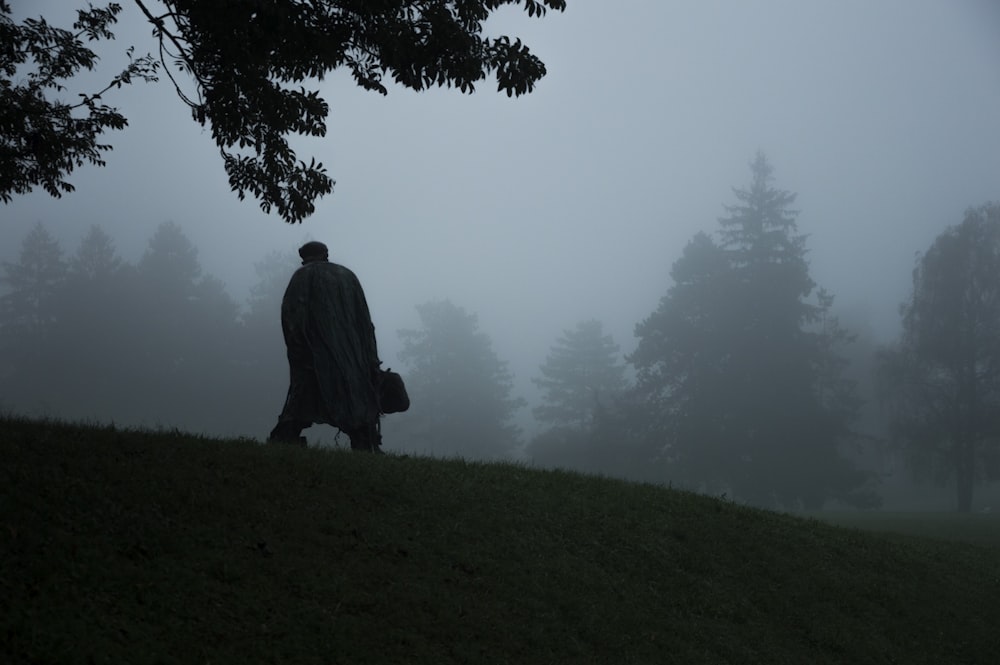 silhouette of person near tree