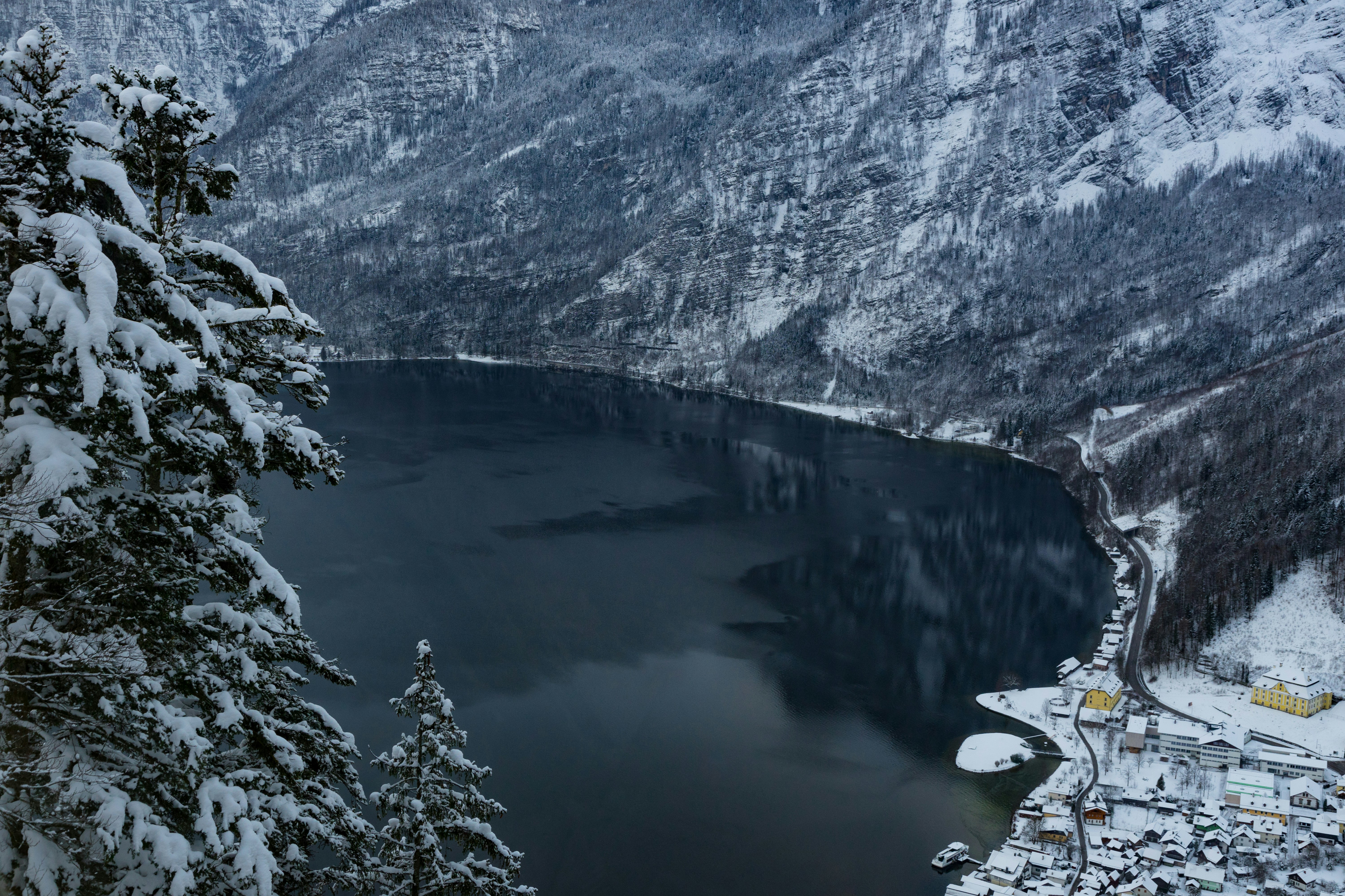 Eisbedeckte Berg- und Kiefernlandschaft