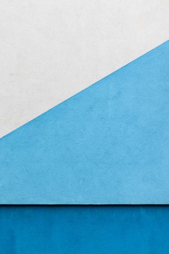 blue and white area rug