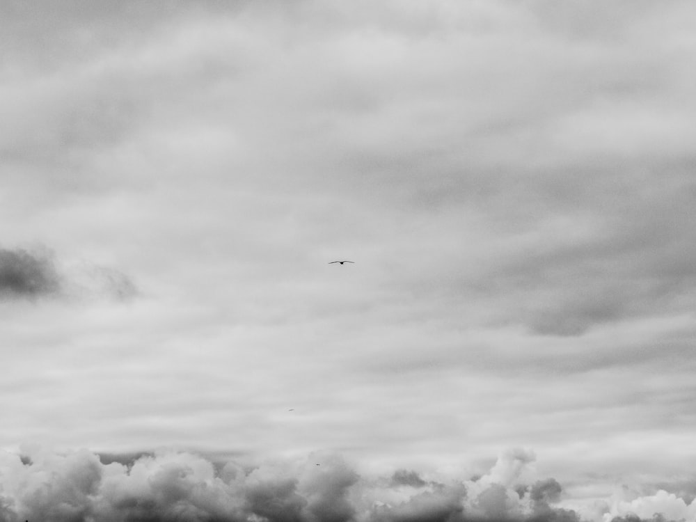 white sea clouds