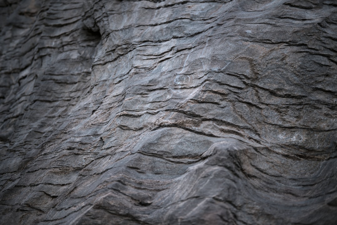 black and gray striped textile