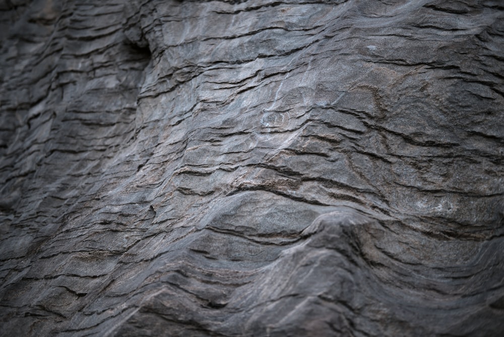 black and gray striped textile