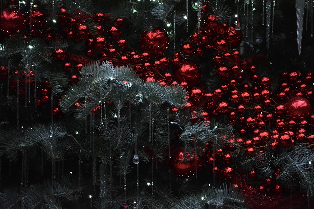 green christmas tree with red baubles